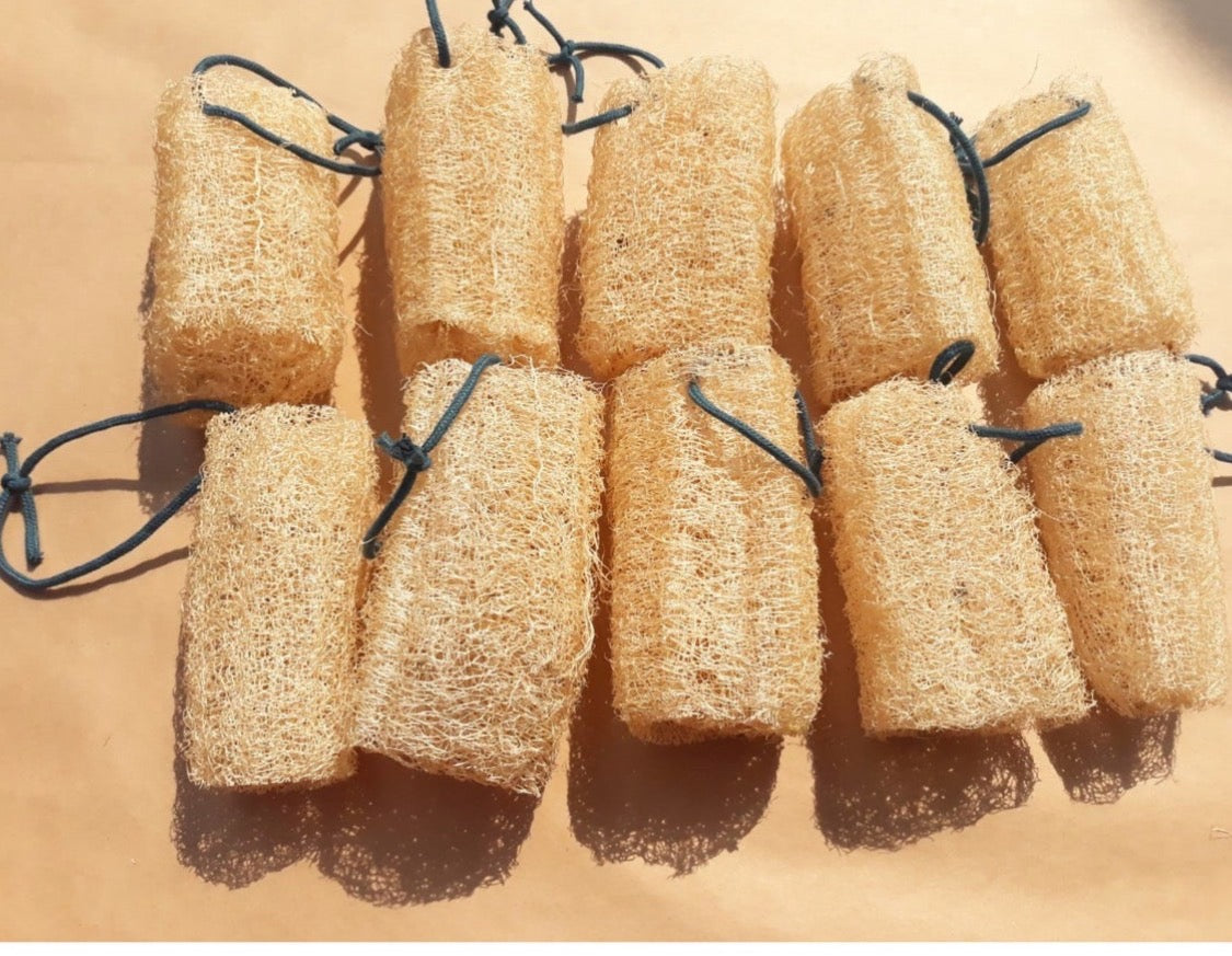 Luffa Gourds Sponges